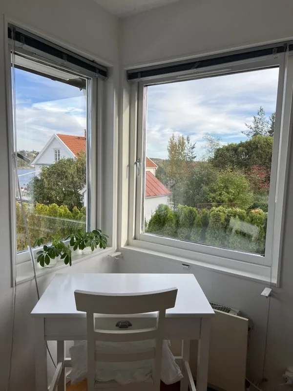 Fönsterputs privatperson